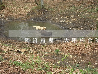 网贷逾期一天违约金330元 网贷逾期一天违约金330元