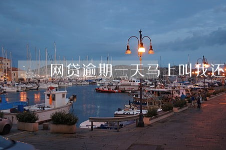 网贷逾期一天马上叫我还本金 网贷逾期一天马上叫我还本金