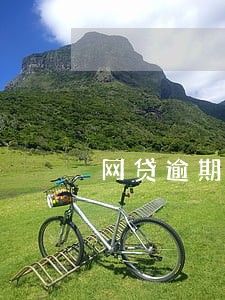 网贷逾期一定要全额还款吗 网贷逾期一定要全额还款吗