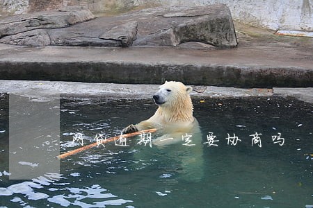 网贷逾期一定要协商吗 网贷逾期一定要协商吗