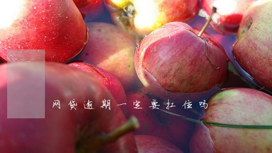 网贷逾期一定要扛住吗 网贷逾期一定要扛住吗