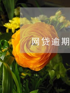 网贷逾期一定要跟家人坦白吗 网贷逾期一定要跟家人坦白吗