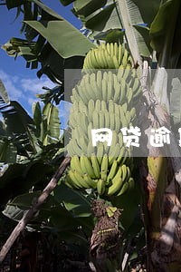 网贷逾期一家和十家区别 网贷逾期一家和十家区别