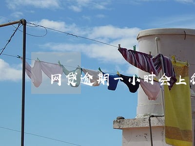 网贷逾期一小时会上征信吗 网贷逾期一小时会上征信吗