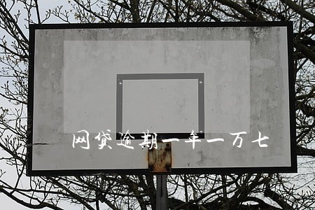 网贷逾期一年一万七 网贷逾期一年一万七