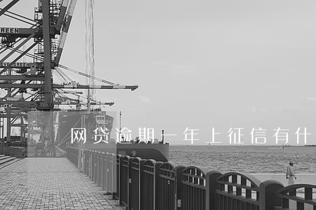 网贷逾期一年上征信有什么影响