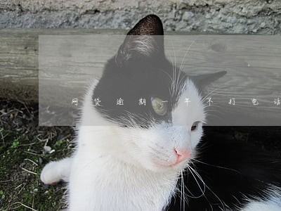 网贷逾期一年不打电话 网贷逾期一年不打电话