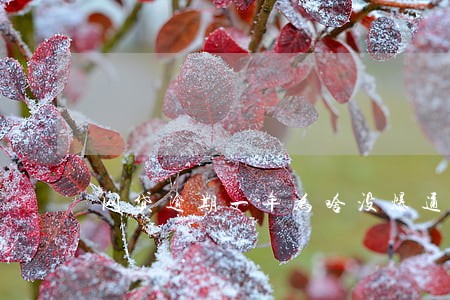 网贷逾期一年为啥没爆通讯录 网贷逾期一年为啥没爆通讯录