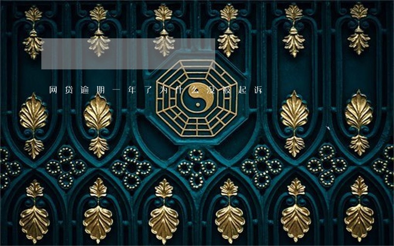 网贷逾期一年了为什么没被起诉 网贷逾期一年了为什么没被起诉