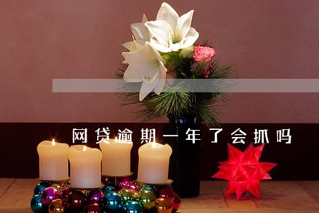 网贷逾期一年了会抓吗 网贷逾期一年了会抓吗