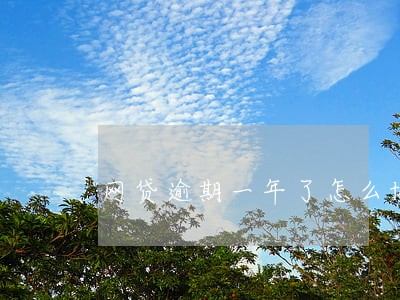 网贷逾期一年了怎么协商