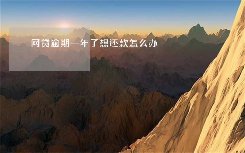 网贷逾期一年了想还款怎么办