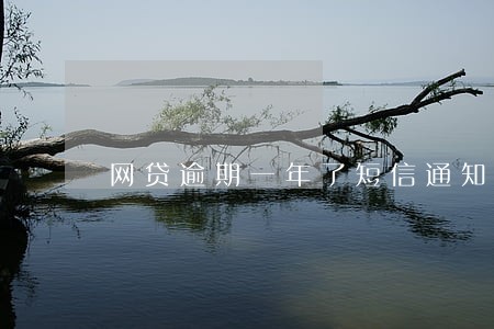 网贷逾期一年了短信通知要开庭 网贷逾期一年了短信通知要开庭