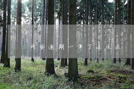 网贷逾期一年了还没还 网贷逾期一年了还没还