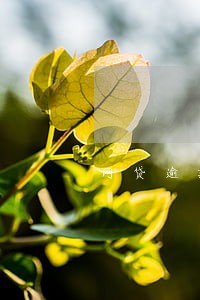 网贷逾期一年今天找我 网贷逾期一年今天找我