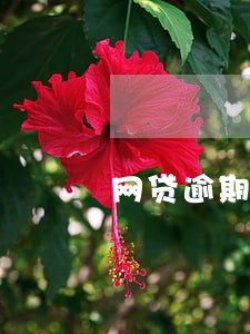 网贷逾期一年以后怎么处理 网贷逾期一年以后怎么处理