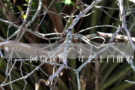 网贷逾期一年会上门催收吗 网贷逾期一年会上门催收吗