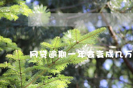 网贷逾期一年会变成几万吗 网贷逾期一年会变成几万吗