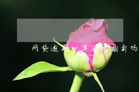 网贷逾期一年会被拍卖吗 网贷逾期一年会被拍卖吗