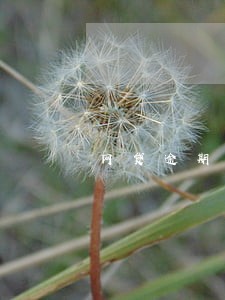 网贷逾期一年催收电话少打了 网贷逾期一年催收电话少打了