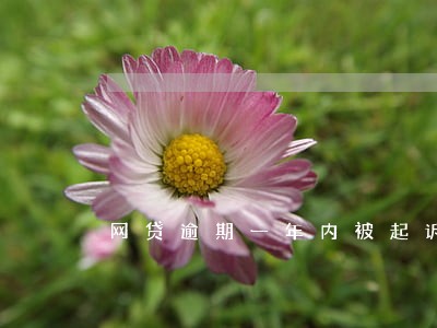网贷逾期一年内被起诉的可能性 网贷逾期一年内被起诉的可能性