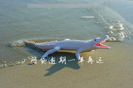 网贷逾期一年再还