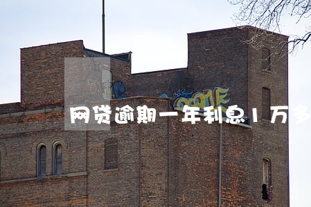 网贷逾期一年利息1万多怎么办 网贷逾期一年利息1万多怎么办