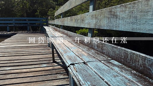 网贷逾期一年利息还在涨