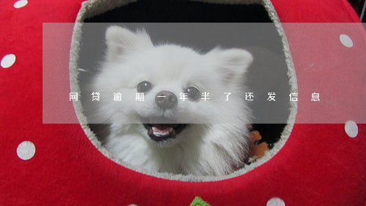 网贷逾期一年半了还发信息 网贷逾期一年半了还发信息