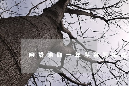 网贷逾期一年半会怎么样 网贷逾期一年半会怎么样