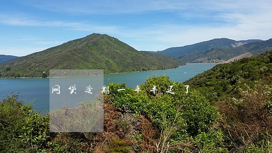 网贷逾期一年半还了 网贷逾期一年半还了