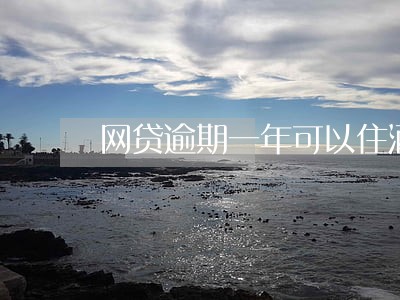 网贷逾期一年可以住酒店吗 网贷逾期一年可以住酒店吗