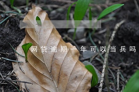 网贷逾期一年可以当兵吗 网贷逾期一年可以当兵吗