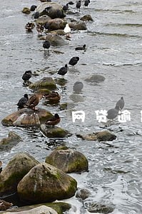 网贷逾期一年后再次催收 网贷逾期一年后再次催收
