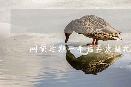 网贷逾期一年后再次骚扰通讯录 网贷逾期一年后再次骚扰通讯录
