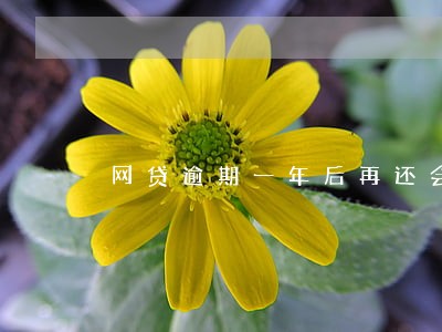 网贷逾期一年后再还会怎样 网贷逾期一年后再还会怎样
