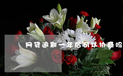 网贷逾期一年后可以协商吗