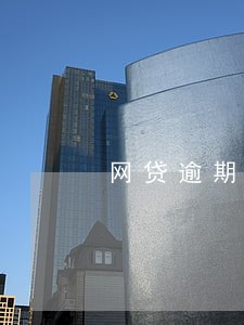 网贷逾期一年后怎么协商