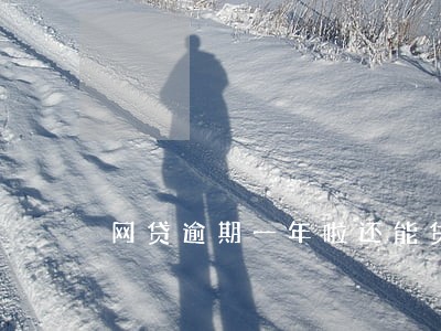 网贷逾期一年啦还能贷款吗 网贷逾期一年啦还能贷款吗