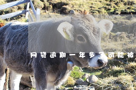 网贷逾期一年多了可能被告吗 网贷逾期一年多了可能被告吗