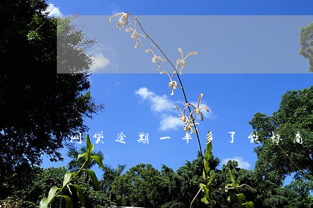 网贷逾期一年多了能协商吗 网贷逾期一年多了能协商吗