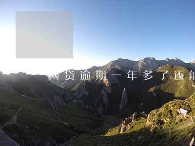 网贷逾期一年多了还能分期吗 网贷逾期一年多了还能分期吗