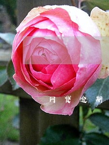 网贷逾期一年多会不会上门 网贷逾期一年多会不会上门