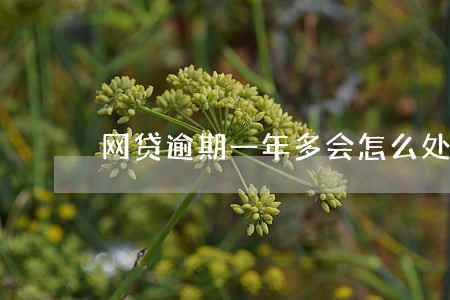网贷逾期一年多会怎么处理 网贷逾期一年多会怎么处理