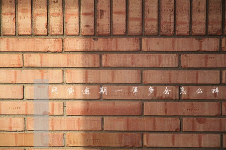 网贷逾期一年多会怎么样 网贷逾期一年多会怎么样