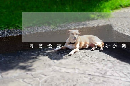 网贷逾期一年多可以分期车吗 网贷逾期一年多可以分期车吗