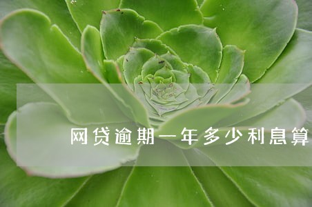 网贷逾期一年多少利息算合法 网贷逾期一年多少利息算合法