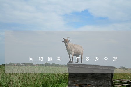 网贷逾期一年多少合理 网贷逾期一年多少合理