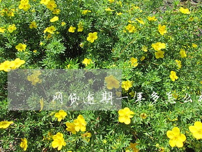 网贷逾期一年多怎么样 网贷逾期一年多怎么样
