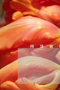 网贷逾期一年多才来催还 网贷逾期一年多才来催还